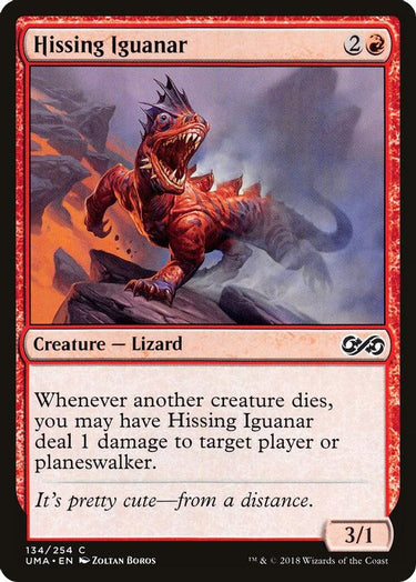 Hissing Iguanar | 134